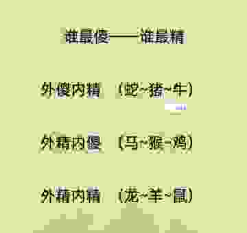 句斟字酌打一生肖是什么动物？高手教你如何快速破解！