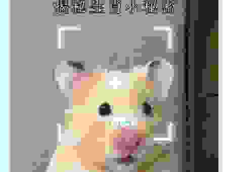 句斟字酌打一生肖是什么动物？高手教你如何快速破解！