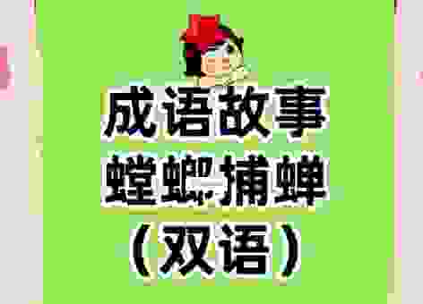 螳螂捕蝉到底指哪个生肖？看懂这个典故你就有答案！