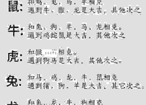 谜语鹤发童颜打一准确生肖！为你分享这个生肖的来历