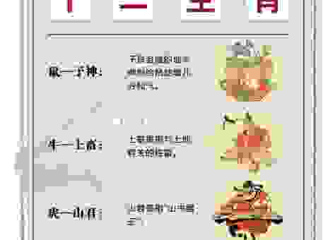 叨陪末座代表什么生肖？通过成语由来和排位找出生肖！