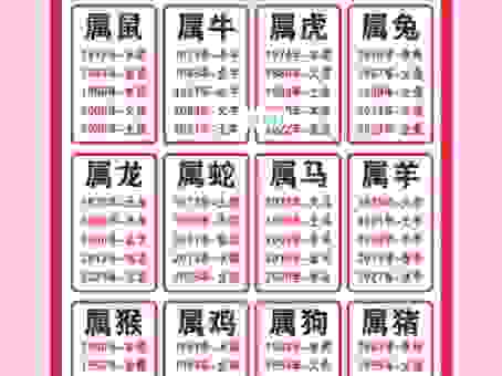 移樽就教是什么生肖？看完这个生肖解析你就懂了