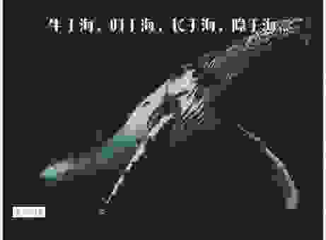 蚕食鲸吞是什么意思？简单直白的解释让你瞬间明白