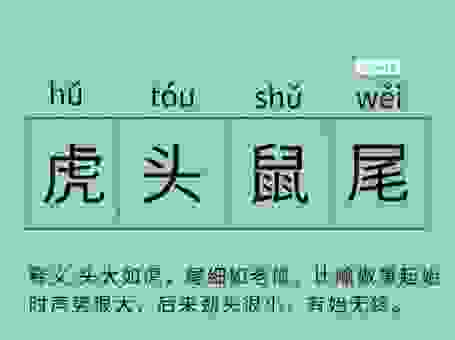 谈辞如云打一动物怎么理解？带你了解成语背后的生肖秘密！