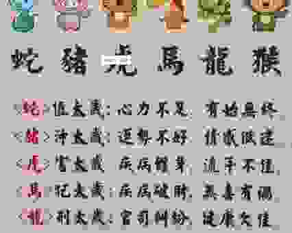 过江之鲫打一准确生肖的答案，老玩家告诉你正确生肖！