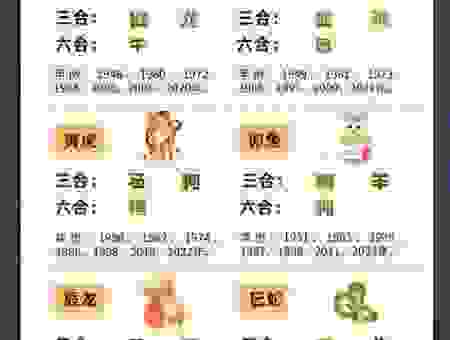 圣诞节打一正确生肖解析，带你了解为什么是这个生肖！