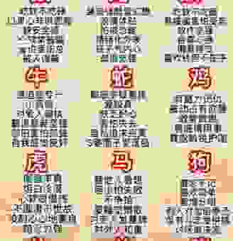 一眼难忘的生肖是什么？带你了解性格最有魅力的几大生肖！