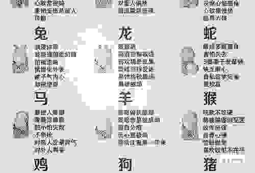 一眼难忘的生肖是什么？带你了解性格最有魅力的几大生肖！