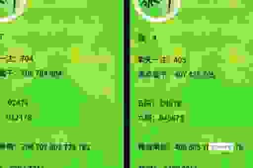 驽马十驾最佳答案一肖揭秘，老玩家分享心得助你快速掌握！