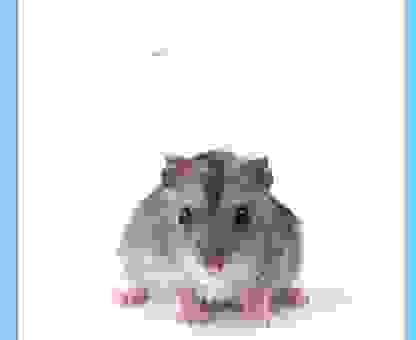 五更归时门卫在打准确生肖怎么猜？教你几招快速找答案！