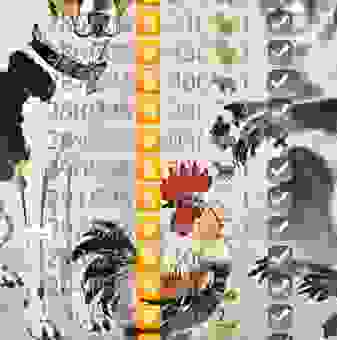 虎视眈眈打一个正确生肖怎么猜？教你快速找到标准答案！