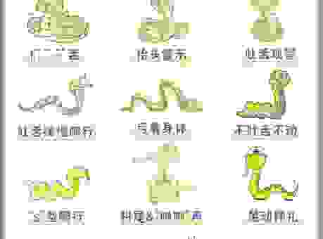 勤以立身打一动物怎么猜？这几个思路帮你快速通关！