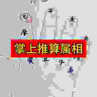 十二生肖中琴指的是什么？帮你快速找到正确答案。