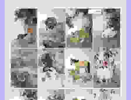 兔角牛翼是指哪个生肖？快速了解生肖背后的民间趣味！