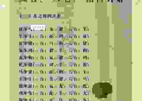 鹤发童颜打最准确一肖是什么？为你解析这个生肖的含义！