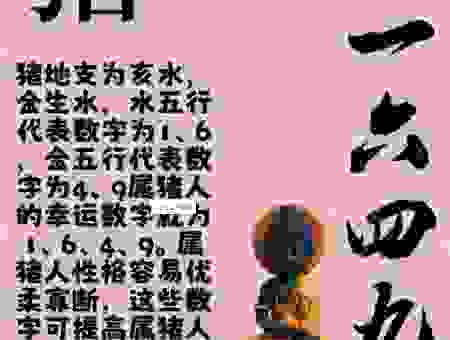 指天誓日打一数字是什么生肖？详细分析这个数字的由来！