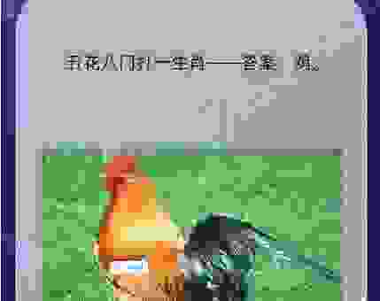 倾巢而出打一动物是什么生肖？看完这篇文章你就懂了！