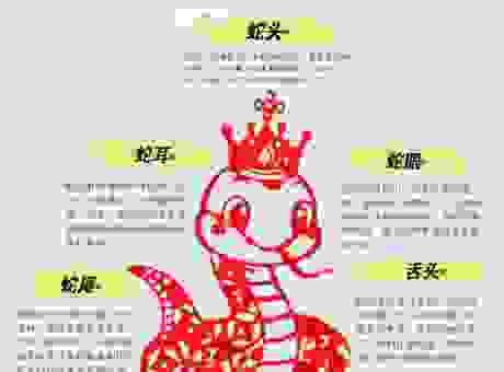 猜猜呲牙咧嘴打一准确生肖，带你了解背后的含义！