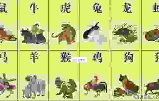 十二生肖谁最疯疯癫癫？盘点生活中那些爱闹腾的生肖！