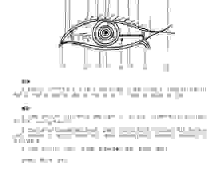 立眉瞪眼是什么意思？通俗易懂的解释带你看明白