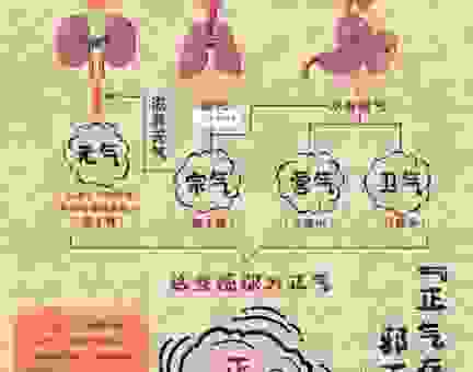 一身正气是什么意思？这几个例子帮你快速理解含义