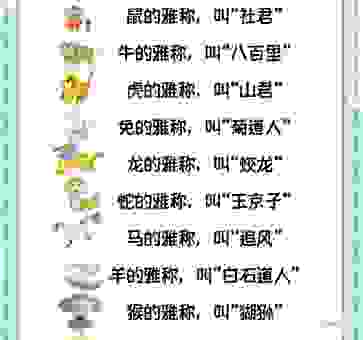 神采飞扬是什么生肖的代称？这些生肖最具有精神面貌