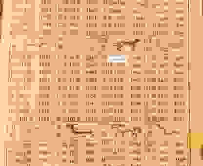 儿孙满堂打一生肖的答案，这几个生肖确实子孙福气旺！