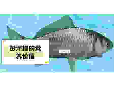 过江之鲫打一个生肖的答案是什么？带你寻找最准的解析！