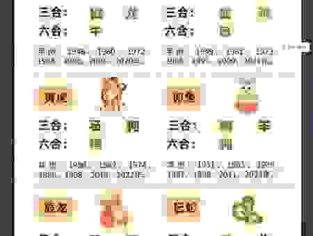 童心未泯打一正确生肖是指哪一个？看看你猜对了吗！