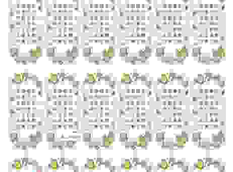 能歌善舞打一最佳动物谜底揭晓，看看你有没有猜对！