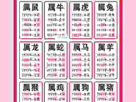 分星掰两代表什么生肖？详解十二生肖中的对应关系。