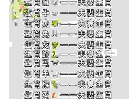 分星掰两代表什么生肖？详解十二生肖中的对应关系。