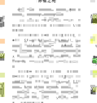 兔死狗烹打一数字是多少？带你解析谜语背后的秘密