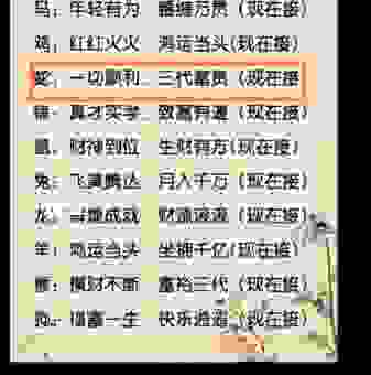 文质彬彬打一肖的正确答案，快来看看和你猜的一样吗！