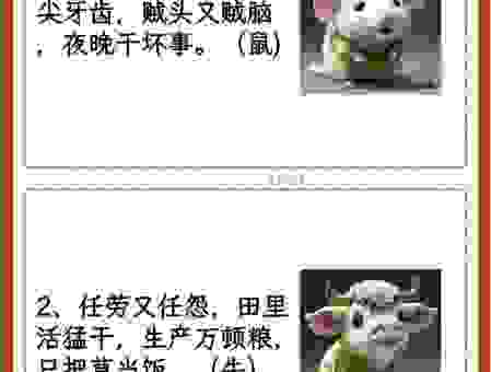 心如古井是什么动物生肖？老辈人留下的谜底原来是它！