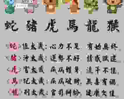 山谷深处兰花香打一准确生肖是什么？快来了解准确答案！