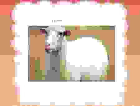 人小鬼大猜一个生肖动物？这几个生肖的可能性最高！