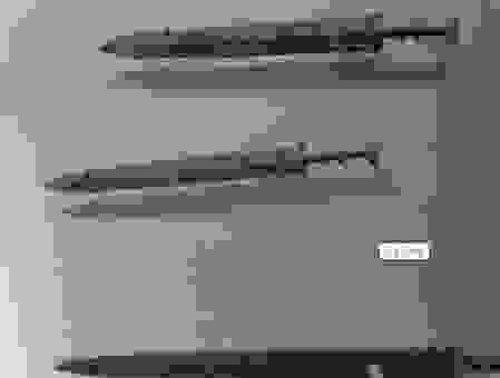 纸上谈兵是什么生肖？老一辈人常说的原来是这几个生肖！