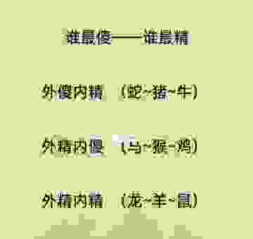 双双对对打一准确生肖怎么猜？解析其中的文化奥秘！