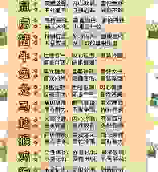 眉飞色舞4大动物生肖有哪些？这几个生肖性格最活泼！