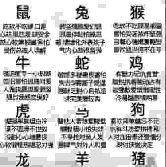 眉飞色舞4大动物生肖有哪些？这几个生肖性格最活泼！