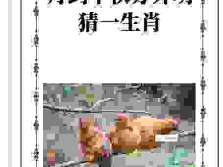 人面桃花打一个准确生肖怎么猜？教你快速找到正确答案！