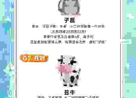 春寒料峭是什么生肖？看完这个生肖解析你就明白了