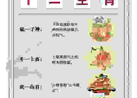 春寒料峭是什么生肖？看完这个生肖解析你就明白了