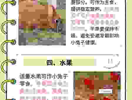 好吃懒做的动物打一正确生肖，带你了解生肖里的有趣知识！