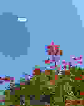 一轮红日的意思是什么？为你详细解析它的含义