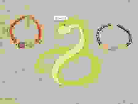 生肖头尾出真码打一个准确的生肖？高手教你这样分析！