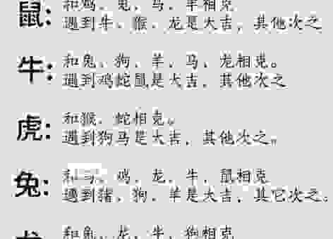 儿孙满堂打一准确生肖及其生肖含义！分析常见答案