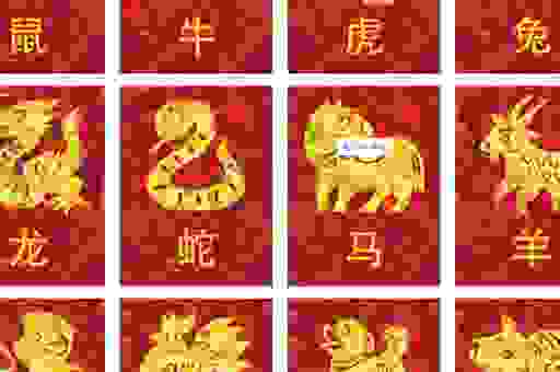 七星高照是什么生肖？看完这个生肖解析你就明白了