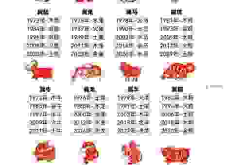 七星高照是什么生肖？看完这个生肖解析你就明白了